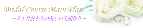 ブライダルコース メインプラン