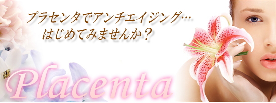 プラセンタ